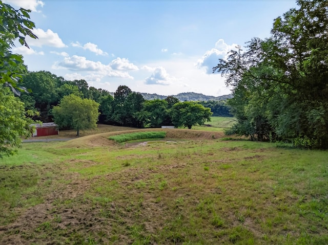 53 Daves Hollow Rd, Fayetteville, TN 37334 - photo 20