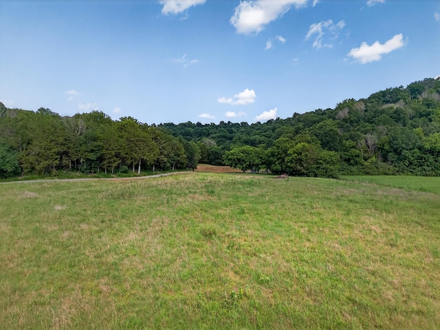 53 Daves Hollow Rd, Fayetteville, TN 37334 - photo 22