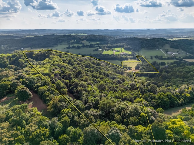 53 Daves Hollow Rd, Fayetteville, TN 37334 - photo 5