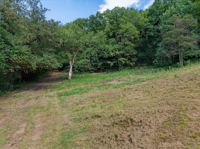 53 Daves Hollow Rd, Fayetteville, TN 37334 - photo 27