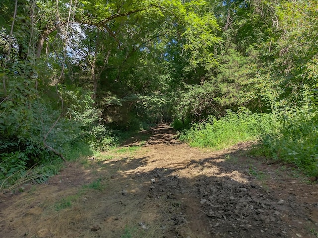 53 Daves Hollow Rd, Fayetteville, TN 37334 - photo 25