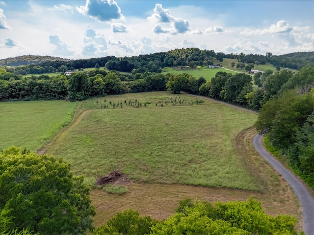 53 Daves Hollow Rd, Fayetteville, TN 37334 - photo 19