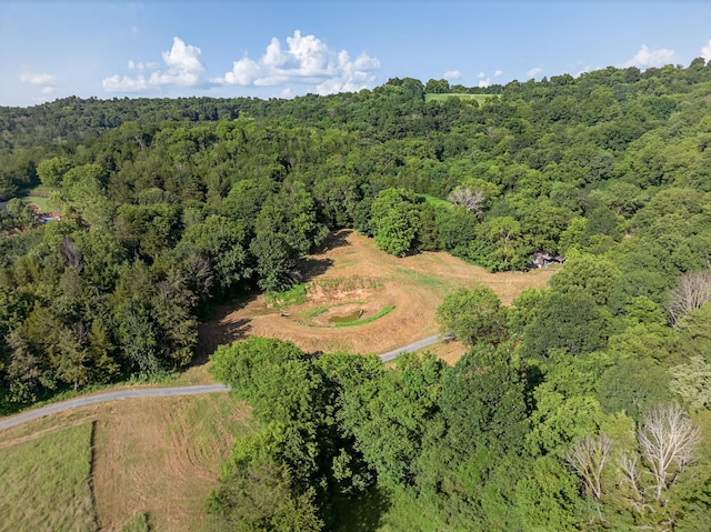 53 Daves Hollow Rd, Fayetteville, TN 37334 - photo 11
