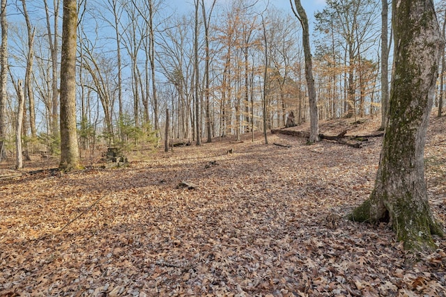2079 Rock Springs Rd, Columbia, TN 38401 - photo 58
