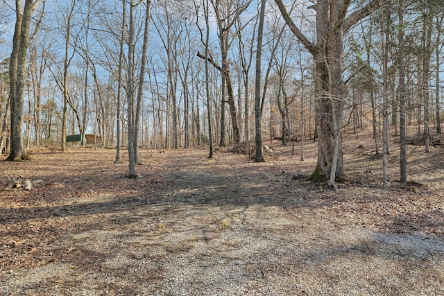 2079 Rock Springs Rd, Columbia, TN 38401 - photo 56