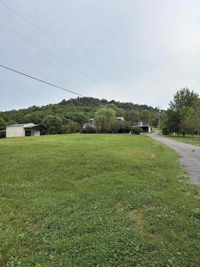 1028 Cook Rd, Liberty, TN 37095 - photo 4