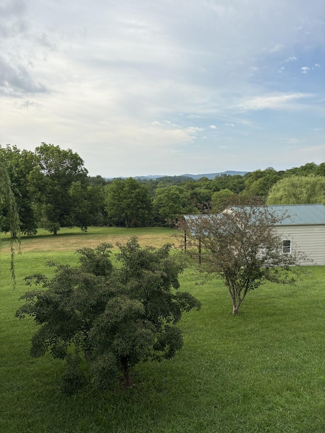 1028 Cook Rd, Liberty, TN 37095 - photo 10