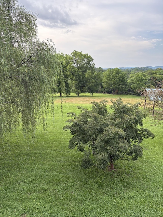 1028 Cook Rd, Liberty, TN 37095 - photo 9