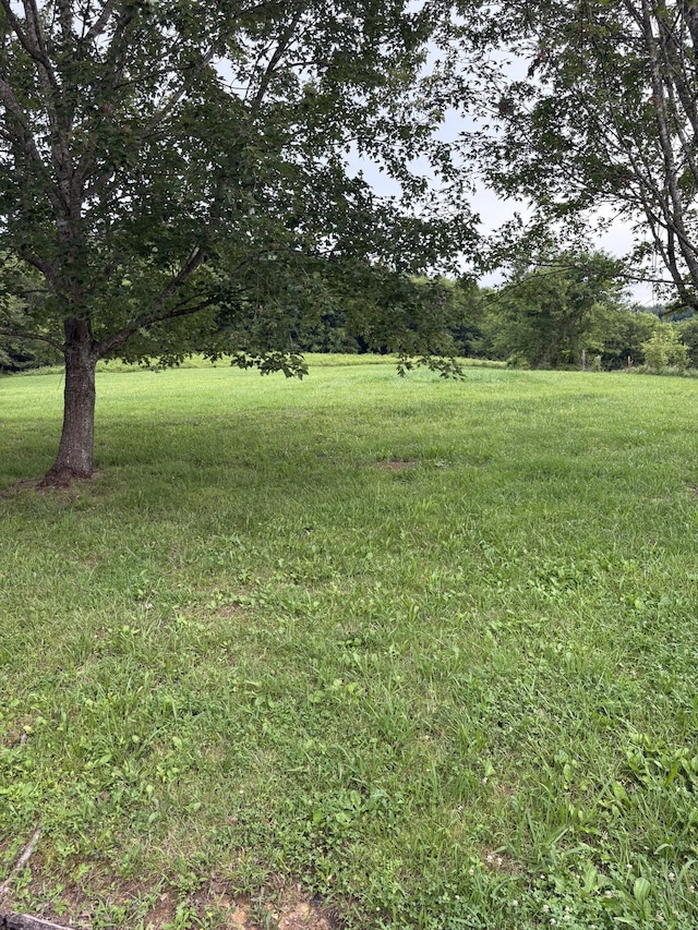 1028 Cook Rd, Liberty, TN 37095 - photo 5