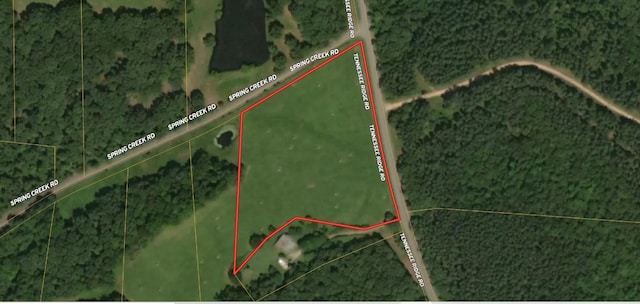 0 Tennessee Ridge Rd, Waverly, TN 37185 - photo 10