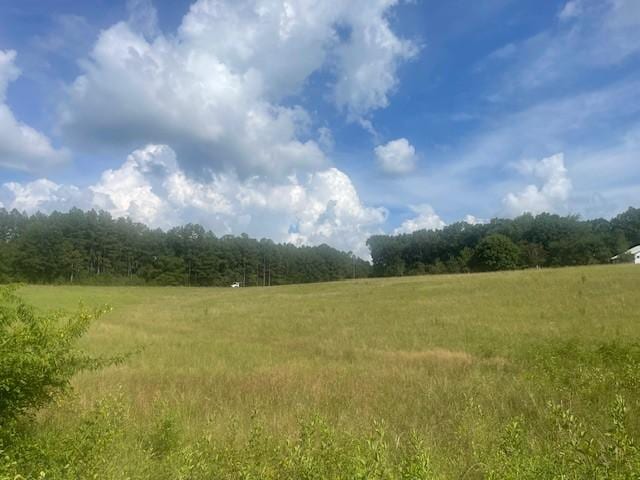 0 Tennessee Ridge Rd, Waverly, TN 37185 - photo 5
