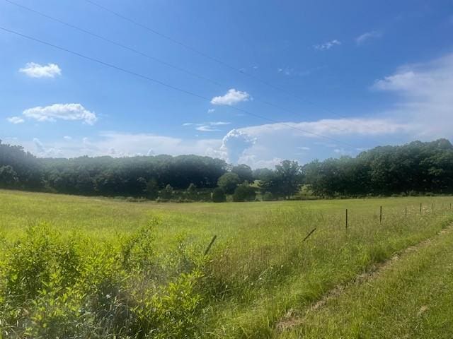 0 Tennessee Ridge Rd, Waverly, TN 37185 - photo 4