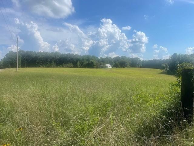 0 Tennessee Ridge Rd, Waverly, TN 37185 - photo 7