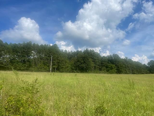 0 Tennessee Ridge Rd, Waverly, TN 37185 - photo 2