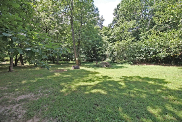 1783 Friendship Rd, Cross Plains, TN 37049 - photo 52