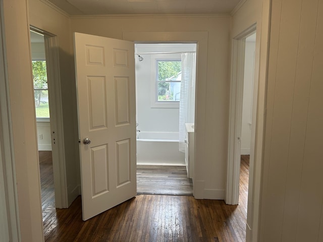 316 Yearwood Ave, Murfreesboro, TN 37130 - photo 9