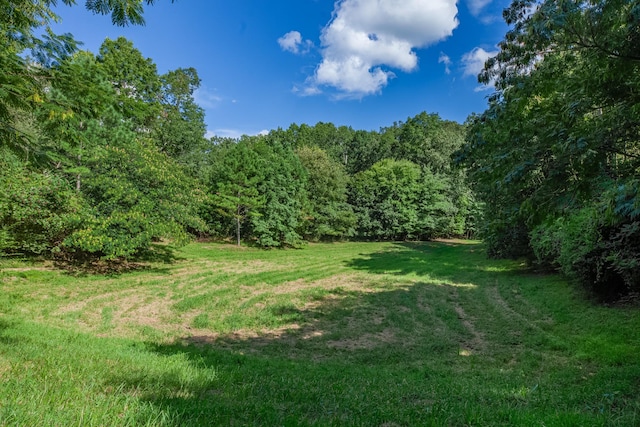 1111 Baker Ln, Lawrenceburg, TN 38464 - photo 6