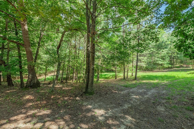 1111 Baker Ln, Lawrenceburg, TN 38464 - photo 7