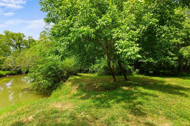 406 Haven Creek Ln, Chickamauga, GA 30707 - photo 9
