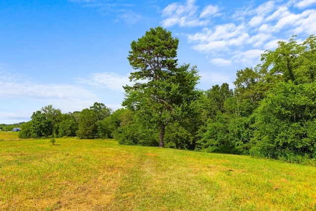 406 Haven Creek Ln, Chickamauga, GA 30707 - photo 89