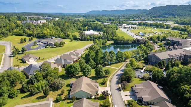 4523 Forsythia Way, Ooltewah, TN 37363 - photo 9