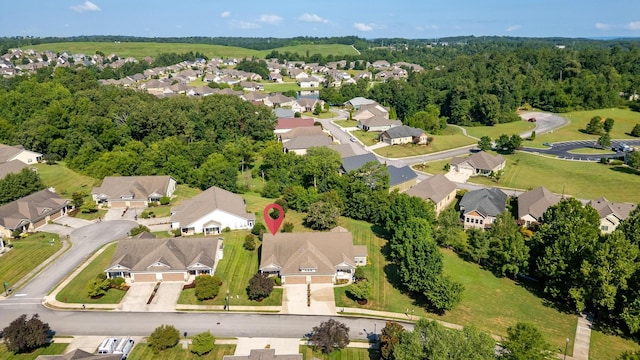 4523 Forsythia Way, Ooltewah, TN 37363 - photo 8