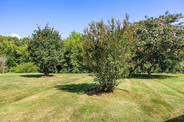 4523 Forsythia Way, Ooltewah, TN 37363 - photo 5