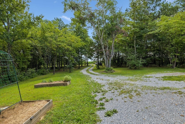 91 Mint Springs Rd, Ethridge, TN 38456 - photo 26