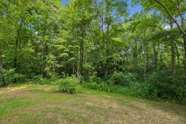 91 Mint Springs Rd, Ethridge, TN 38456 - photo 36