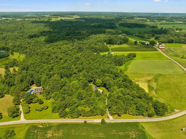 91 Mint Springs Rd, Ethridge, TN 38456 - photo 68