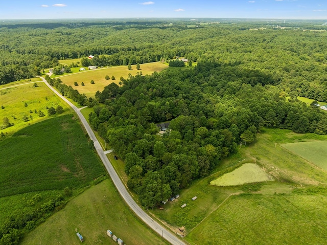 91 Mint Springs Rd, Ethridge, TN 38456 - photo 76