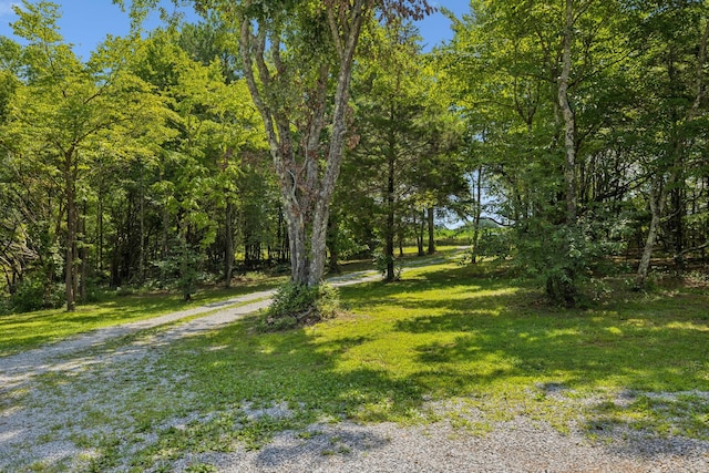 91 Mint Springs Rd, Ethridge, TN 38456 - photo 27