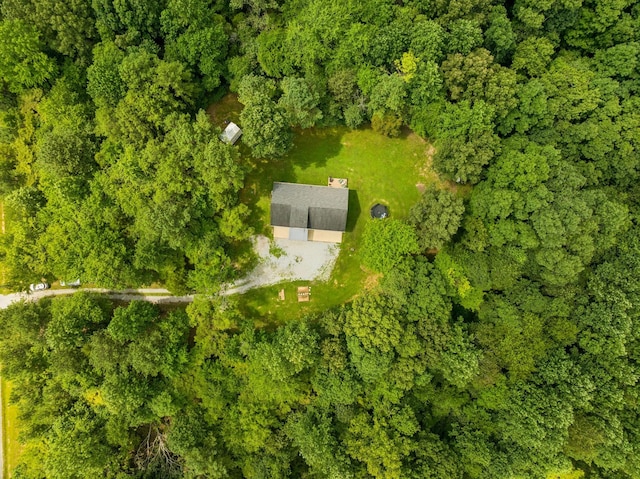 91 Mint Springs Rd, Ethridge, TN 38456 - photo 71