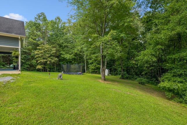 91 Mint Springs Rd, Ethridge, TN 38456 - photo 29
