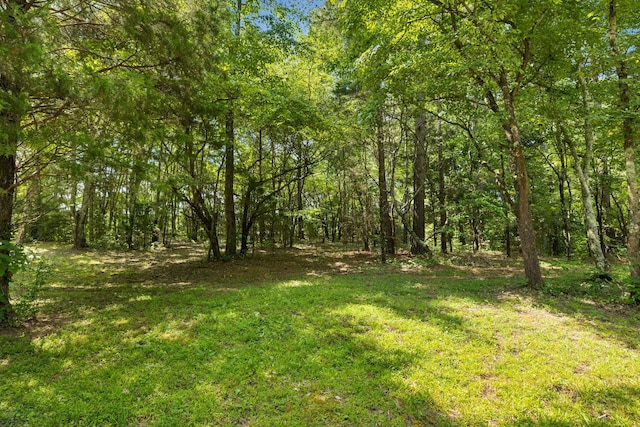 91 Mint Springs Rd, Ethridge, TN 38456 - photo 37