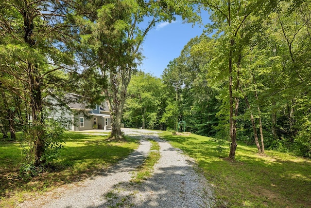 91 Mint Springs Rd, Ethridge, TN 38456 - photo 1