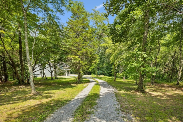 91 Mint Springs Rd, Ethridge, TN 38456 - photo 35