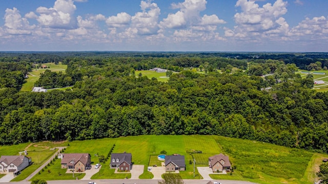 4076 Summit Dr, Greenbrier, TN 37073 - photo 42