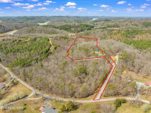 165 George Thomas Rd, Vonore, TN 37885 - photo 5