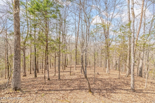 165 George Thomas Rd, Vonore, TN 37885 - photo 44