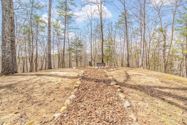 165 George Thomas Rd, Vonore, TN 37885 - photo 50