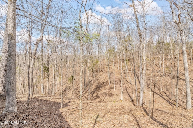 165 George Thomas Rd, Vonore, TN 37885 - photo 59