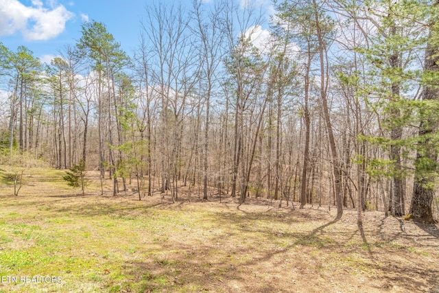 165 George Thomas Rd, Vonore, TN 37885 - photo 58