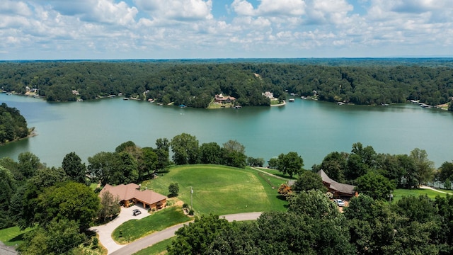 0 Lake Court Dr, Lynchburg, TN 37352 - photo 4