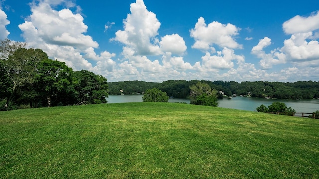 0 Lake Court Dr, Lynchburg, TN 37352 - photo 24