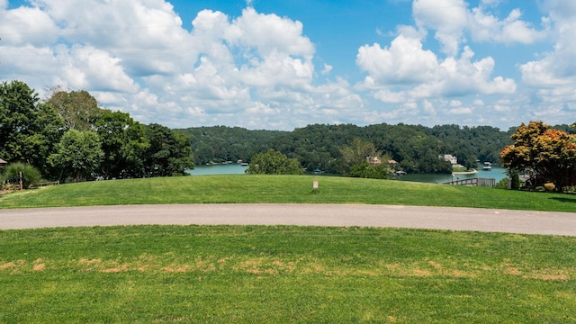 0 Lake Court Dr, Lynchburg, TN 37352 - photo 10