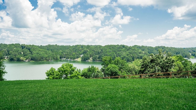 0 Lake Court Dr, Lynchburg, TN 37352 - photo 36