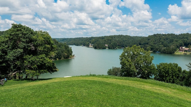 0 Lake Court Dr, Lynchburg, TN 37352 - photo 11