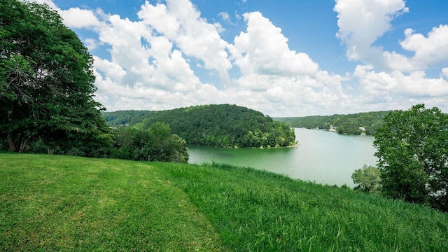0 Lake Court Dr, Lynchburg, TN 37352 - photo 30