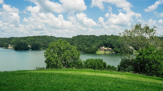 0 Lake Court Dr, Lynchburg, TN 37352 - photo 26